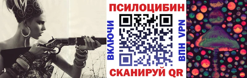 Купить  Нижневартовск  Псилоцибиновые грибы Psilocybe 